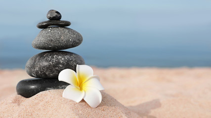 Fototapeta na wymiar Stack of dark stones and flower on sand near sea, space for text. Zen concept