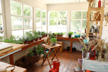 Different seedlings and gardening tools in closed veranda - obrazy, fototapety, plakaty