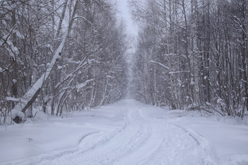 Winter in the Russian outback