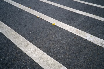 Asphalt road with white line background