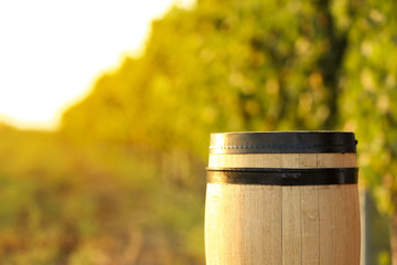 Naklejka premium Wooden wine barrel at vineyard, space for text