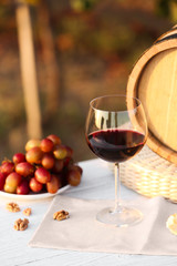 Composition with wine and snacks on white wooden table outdoors