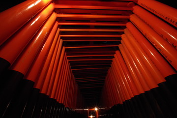 Fototapeta premium 異世界 伏見稲荷大社 夜 ミステリアスナイト Another World Fushimi Inari Taisha Night Mysterious Night