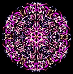 Mandala Pink Abstract Floral on Black Design