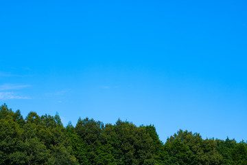 Obraz premium 【写真素材】 青空 空 雲 秋の空 背景 背景素材 9月 コピースペース 