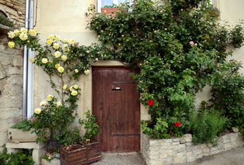 Fototapeta na wymiar Ancient wooden entrance doors with rustic metal nails, surrounded by plants (roses and jasmin), Provence, France
