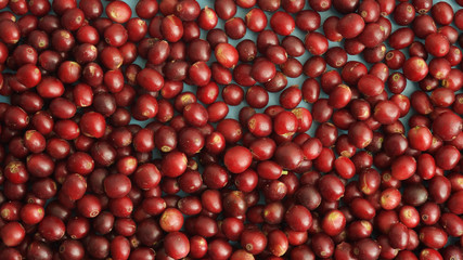 close up of fresh coffee beans for background  