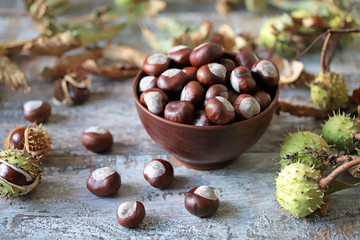 Chestnuts in a bowl. Buckeyes. Autumn composition with chestnuts.