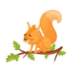 Bright Vector Illustration Of Sitting On A Branch Red Squirrel.