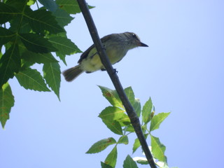 Obraz premium ecuador