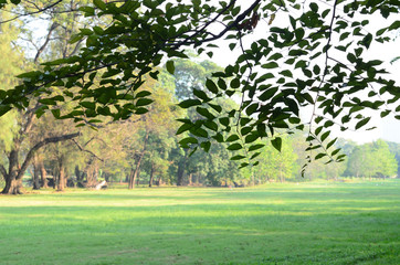 Wachirabenchatat Public Park Bangkok Thailand