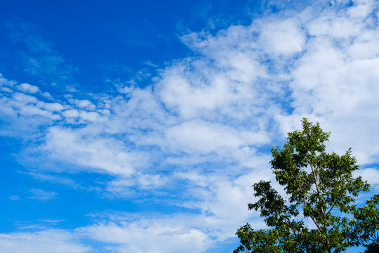 857 Best 空の画像 Images Stock Photos Vectors Adobe Stock 857 Best 空の画像 Images Stock Photos Vectors Adobe Stock