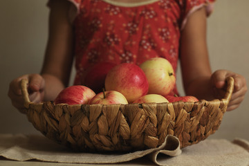 A child holds a wicker basket full of harvested apples. Autumn is the time to harvest. Natural products.