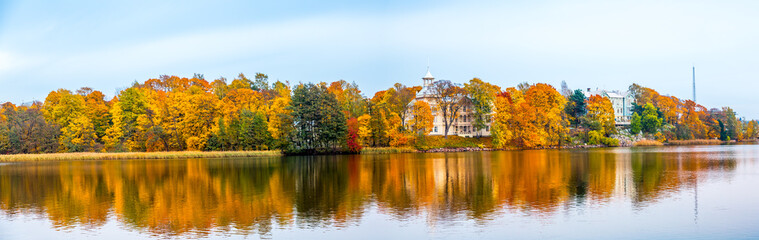 Fototapeta na wymiar Colorful foliage in the autumn park. Autumn Landscape