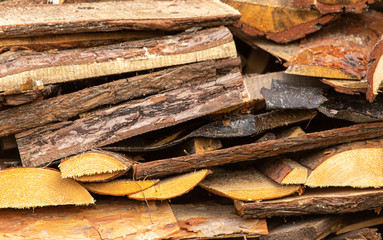 Log and firewood in the garden