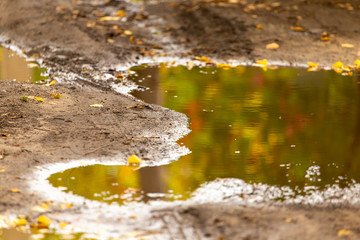Puddle on a dirt road with autumn reflection