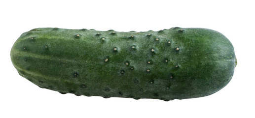 Fruit isolated on a white background. Cucumber