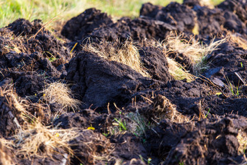 Plowed black soil on nature as a background