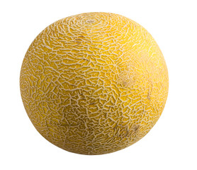 Fruit isolated on a white background. Melon