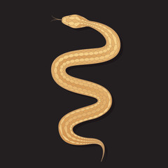 Golden snake isolated on black background. Vector illustration EPS 10