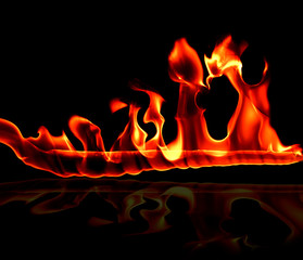 Fire flames on Abstract art black background,