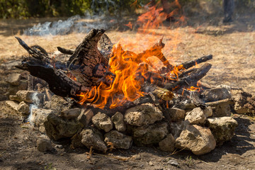 Camp fire in the forest.