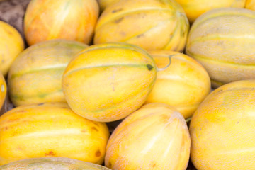 Ripe yellow shugar sweet melons on stand at the marketplace. Selective focus.