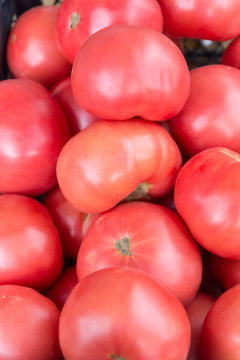 Ripe pink tomatoes on stand at the marketplace. Wet from the summer rain. Selective focus.