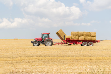 Obraz premium Tractor collecting straw bales during harvesting in the field at nice blue sunny day.