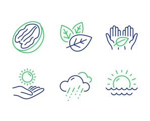 Fair trade, Rainy weather and Sun protection line icons set. Pecan nut, Organic tested and Sunset signs. Safe nature, Rain, Ultraviolet care. Vegetarian food. Nature set. Vector