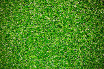 Fototapeta premium green artificial grass textures background