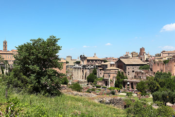 View of the Roman Forum from the Palatine Hill