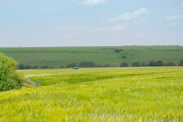 Obraz premium Idyllic sunny rural landscape, farm field bright green grass. A blue tractor in the distance harvesting rye wheat barley cereals