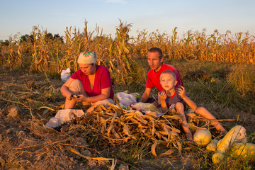 family of farmers in autumn,Family in autumn have dinner at sunset in the field, beautiful Family at sunset in autumn, harvested Family of potato harvest