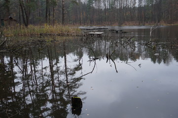 Beautiful mountain lake Maricheika in the Ukrainian Carpathians. Summer sunny day. Ukrainian nature of the beautiful places of the country. Buffer zone.