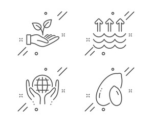 Organic tested, Helping hand and Evaporation line icons set. Peanut sign. Safe nature, Startup palm, Global warming. Vegetarian nut. Nature set. Line organic tested outline icon. Vector
