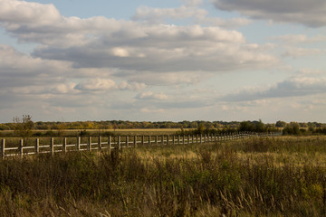 Fototapeta na wymiar Field with Golden high sedge and wooden fence in perspective autumn day Выделите текст, чтобы посмотреть примеры