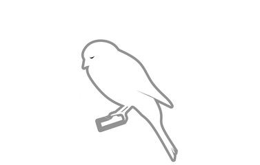 blue bird with speech bubbe