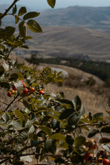 Mountains in Crimea. September. This place is located near the town of Sudak. Autumn in Crimea.  the city of Feodosiya. Russia. Ukraine.