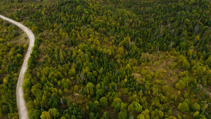 Aerial view of Forest destruction, Deforestation, Environmental problem.