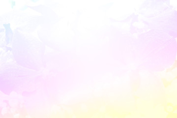 Fototapeta na wymiar background of unicorn color flower