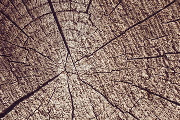 Abstract texture with cracks. Old uneven surface.