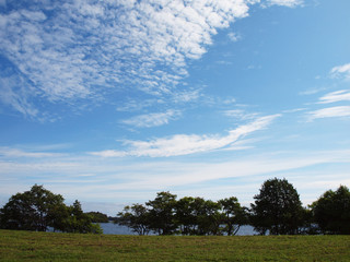Nature on the lake. Summer sunny day.