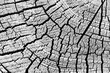 Abstract texture with cracks. Old uneven surface.