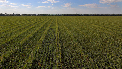 Beautiful scenery from a height