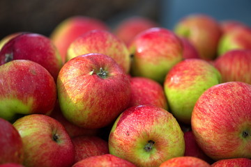 frische geerntete äpfel