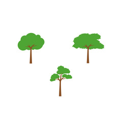 Fototapeta premium Tree logo design. Tree of life logo design isolated on white background.