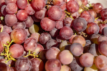 Red wine grapes background.