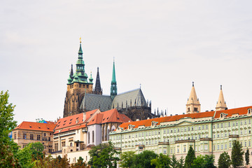 Obraz premium St. Vitus Cathedral near the Prague Castle