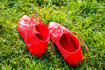 Fototapeta premium Red shoes of a woman lying on green grass 
